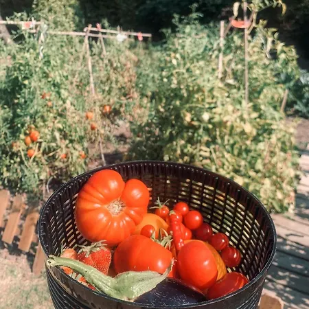 Siena Villa Roquebrune-sur Argens